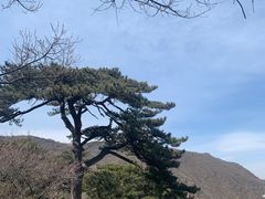 -妙峰山风景名胜区