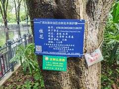 -柳侯公园