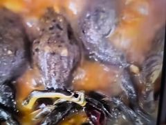 -鼎原力量东北吊炉烧烤(临河街店)