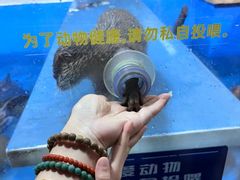 -大连圣亚海洋世界