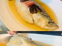 陈年花雕蒸鲥鱼-福1088