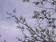 -玄武湖景区-情侣园游乐场