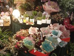 -Olé精品超市(重庆观音桥店)