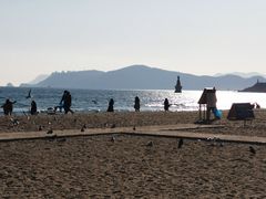 -海云台海滩