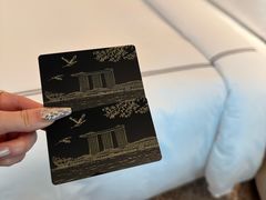 -滨海湾金沙购物商场