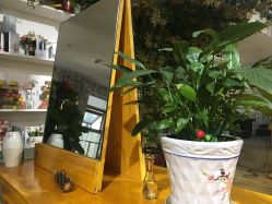 -明洞造型精品烫染