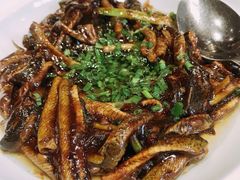 响油鳝糊-老正兴菜馆(福州路店)