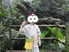-青青世界