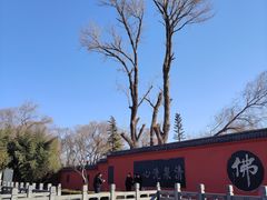 -百脉泉景区