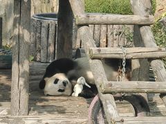 -大连森林动物园