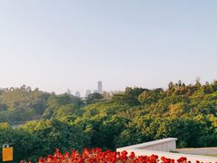 -东莞植物园
