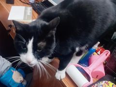 -微光私人影院(巴南万达店)