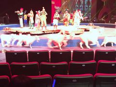 -珠海横琴长隆《卡卡虎奇遇记》