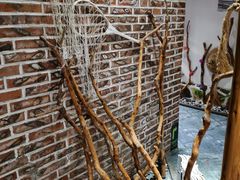 -77号渔船·蒸海鲜青岛菜(积米崖店)