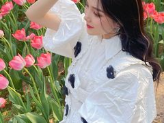 -洛阳郁金香牡丹园