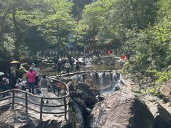 -石台牯牛降景区