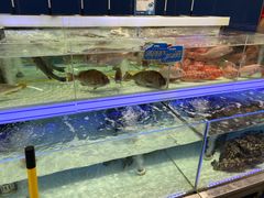 -盒马X会员店(上海森兰商都店)