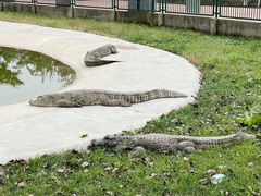 -秦皇岛野生动物园