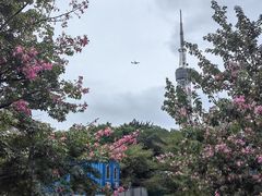 -广州雕塑公园