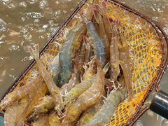 -半岛听涛蒸汽海鲜自助(K11店)