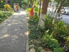 -成都市活水公园