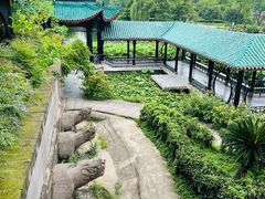 -桂湖森林公园