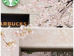 -玛格萝妮比萨屋(四平店)