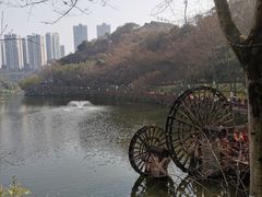 -重庆彩云湖湿地公园