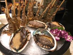 -汤城·料青山