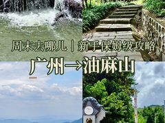 -黄埔油麻山森林公园