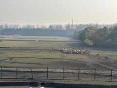 -溱湖国家湿地公园