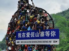 招牌-西双版纳原始森林公园