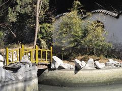 -原山国家森林公园