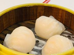 金鼎鮮味虾饺皇-广州酒家(文昌总店)