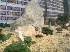 -华南国家植物园-售票处