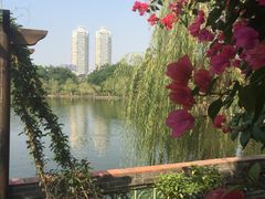 可园博物馆-东莞市可园博物馆