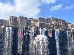 -海南热带野生动植物园
