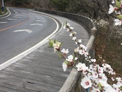 -燕窝岭