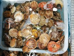 -港畔赶海蒸汽海鲜烧烤自助(仙螺岛店)