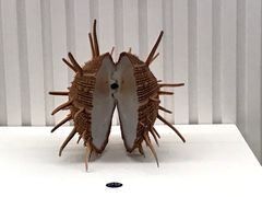 -青岛贝壳博物馆