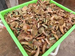 -山菌美食苑(振兴路店)