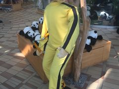 -济州岛泰迪熊博物馆