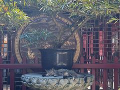 -普陀山慧济禅寺