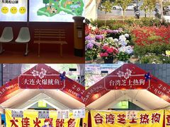 -万科生活广场(东莞松山湖店)