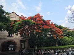 -厦门大学(思明校区)