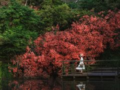 -莫干山风景区