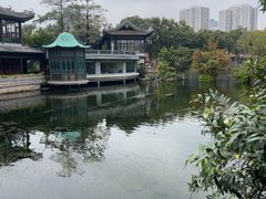 -荔湾湖公园