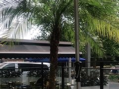 -the rug 飞毯 (朝阳公园店)