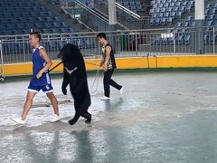 -泉州海丝野生动物世界