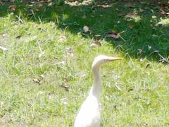 -福建鲤鱼洲酒店